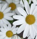 Kindergeburtstagsgeschenk